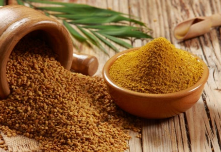 CỎ CA RI - CHÌA KHÓA NÂNG CAO NĂNG SUẤT CHĂN NUÔI